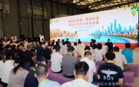 新疆水果推介会系列活动第三站·上海站 聚焦新疆葡萄出口