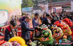 中国锦鲤幼鱼大赛连续四年扎根佛山 助推宠物经济新赛道