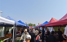 市集里的春日答卷：顺鑫石门市场以产消融合践行国企使命