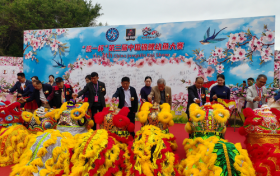 中国锦鲤幼鱼大赛连续三年落地“中国锦鲤名城”佛山